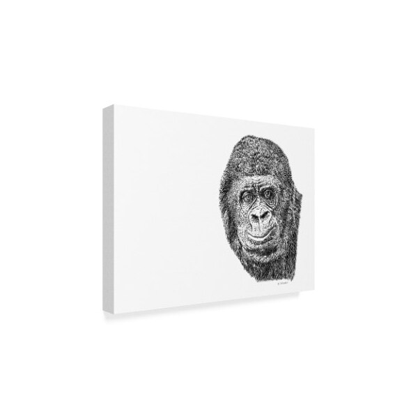 Let Your Art Soar 'Gorilla Line Art' Canvas Art,24x32